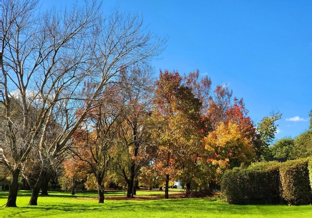 Briars Country Lodge Bowral Dış mekan fotoğraf