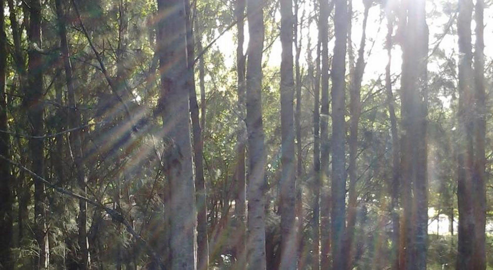 Briars Country Lodge Bowral Dış mekan fotoğraf